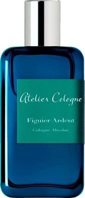 Figuier Ardent